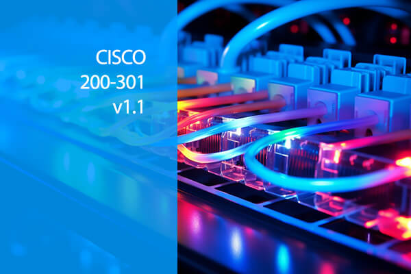 Cisco CCNA v1.1 (200-301)