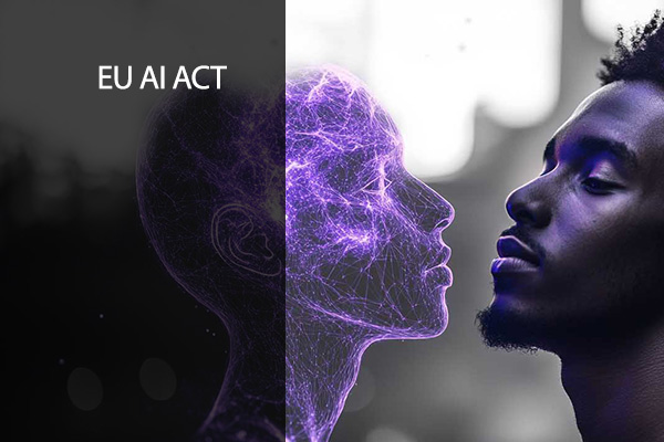 EU AI Act - Compliance, Risk Management, and Practical Application